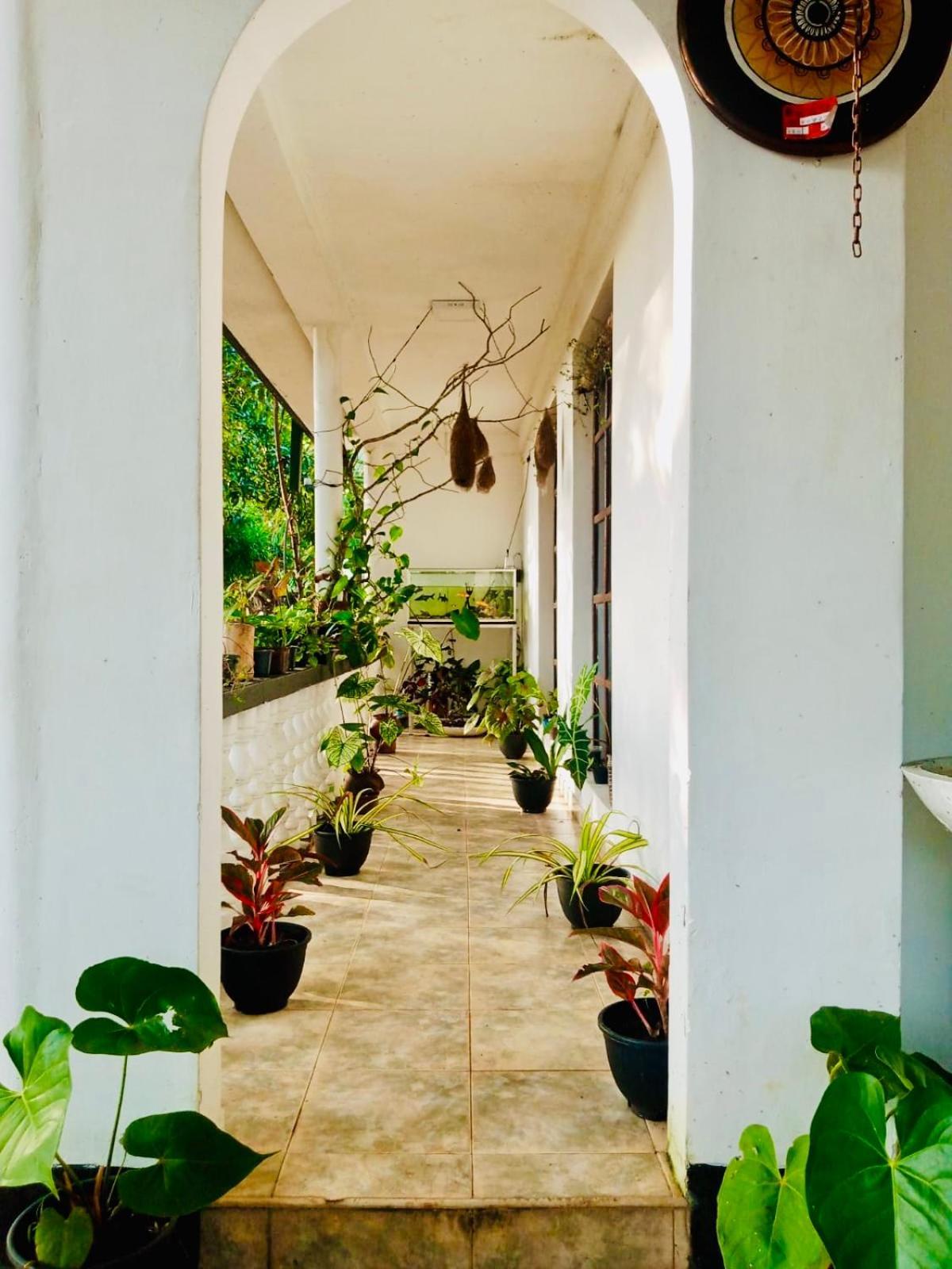 Abhaya Resorts Anuradhapura Luaran gambar